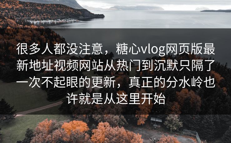 很多人都没注意，糖心vlog网页版最新地址视频网站从热门到沉默只隔了一次不起眼的更新，真正的分水岭也许就是从这里开始